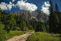 Widok na Giewont z Polany Strążyskiej