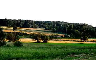 Dolina w której wybudowano Zbiornik Niewiadoma (2010 r.)