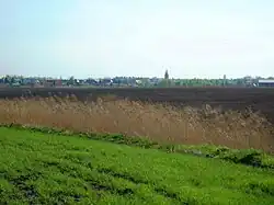 Pola wsi w kierunku Zaniemyśla