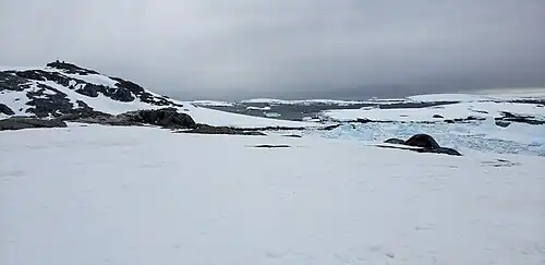 Port Charcot – panorama