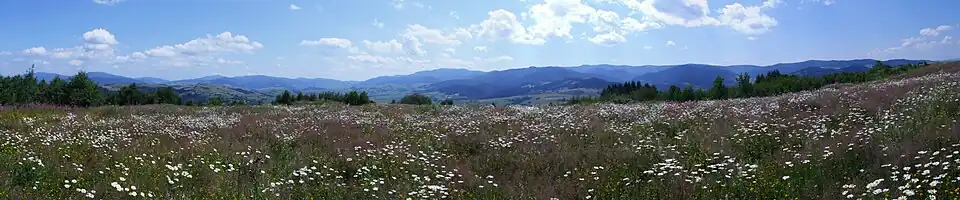 Panorama z Potaczkowej
