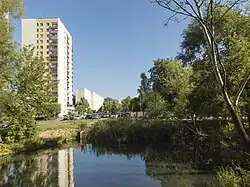 Bezimienny staw na biegu Potoku Bielańskiego na południe od stawów Brustmana, przy ulicy Petőfiego. Widoczne urządzenie wodne będące początkiem dopływu do stawu zachodniego