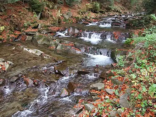 Progi skalne na Koninie przy Potaszni
