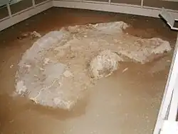 Hipotetyczna misa chrzcielna