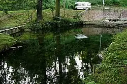 Źródła dopływu Košáteckého potoka w pobliżu miejscowości Kropáčova Vrutice