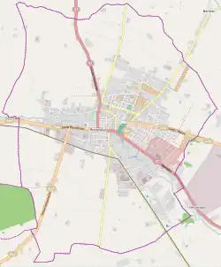 Mapa konturowa Przasnysza, blisko centrum na dole znajduje się punkt z opisem „Kross S.A.”