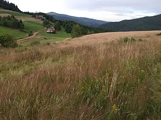 Przełęcz i osiedle Przysłopek