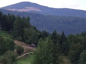 Osiedle Przysłopek, górująca w oddali Mogielica