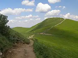 Widok na Przełęcz i Tarniczkę