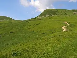 Przełęcz ze szlaku do Wołosatego