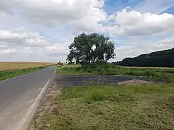 Widok od strony polskiej (lipiec 2020)