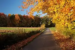 Jesień w Przysiekach, Granice