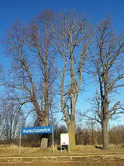 Miejsce przystanku wyznacza tablica z nazwą stacji oraz rozkład jazdy umieszczony w gablocie obok