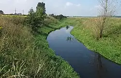 Rzeka Pyszna pomiędzy mostem drogowym (DK74) i kolejowym (LK181) w Dąbrowie k/Wielunia