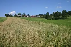 Pyzówka (przysiółek Grapa)