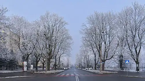 Widok na północ ze skrzyżowania z al. Przyjaźni. Po prawej Park Ratuszowy, po lewej os. Zgody.