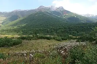 Widok z Bielskiej Równi