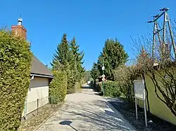 Alejka na terenie ogrodów działkowych