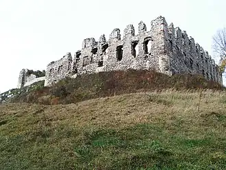 Ruiny pałacu zamkowego