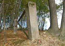 Ogrodzenie zachodnie 2017