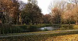 Staw w Starym Ogrodzie