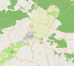 Mapa konturowa Radoszyc, w centrum znajduje się punkt z opisem „Zamek w Radoszycach”