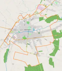 Mapa konturowa Radzynia Podlaskiego, blisko centrum na prawo znajduje się punkt z opisem „Parafia św. Anny i Błogosławionych Męczenników Podlaskich”