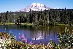 Jezioro Reflection i Mount Rainier