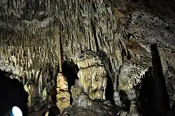 Skupisko stalaktytów (2020)