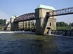 Jaz Rędzin z Lasu Pilczyckiego