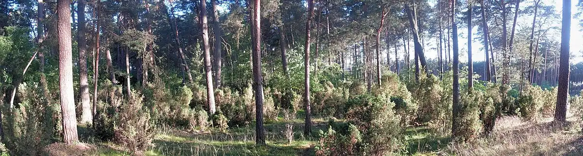 Południowa część rezerwatu