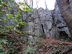 Na środku pionowa Szczelina w Panieńskich Skałach, po prawej, u podstawy skały Wnęka w Panieńskich Skałach
