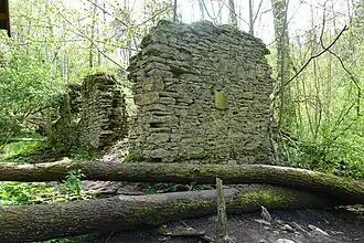 Ruiny starej papierni