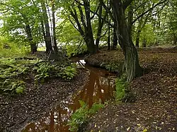 Rzeka Tymnica (Rzeczyca)