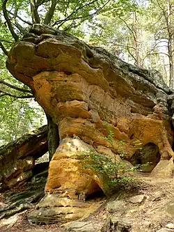 Skały w rezerwacie "Skałki Piekło pod Niekłaniem"