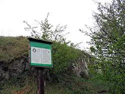 Rezerwat przyrody Przęślin