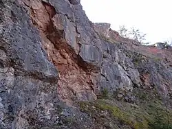 Skały z czerwonymi muszlowcami