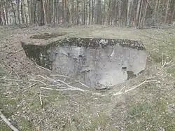 Ringstand 58c (Stary Witoszyn od strony Wilczeńca Fabiańskiego)