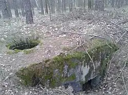 Ringstand 58c Rachcin od strony Wilczeńca Fabiańskiego