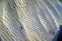 Ripplemarki na dnie jeziora