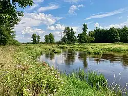 Rzeka Liwiec w pobliżu Starowoli