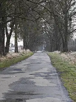 droga powiatowa nr. 2161Z na odcinku Rów - Kierzków ok. 600 metrów przed zabudowaniami wsi Kierzków