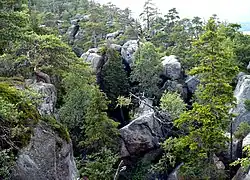 Na szlaku na szczyt Szczelińca