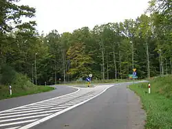 Skrzyżowanie dróg wojewódzkich 106 i 108. Widok od strony Nowogardu. W lewo droga do Golczewa, w prawo do Płotów.