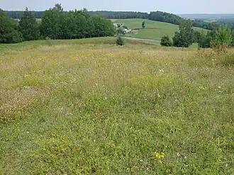 Widok w kierunku północnym