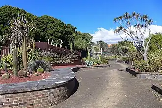 „Ogród Soczystości” – Succulent Garden.