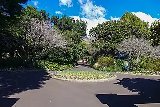 Ścieżki rowerowe prowadzące przez ogród.