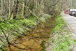 Rudawka przy Lasku Bielańskim