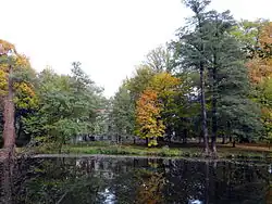 Pałac Tarnowskich, park