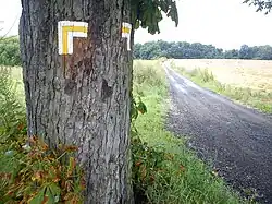 Oznakowanie szlaku do Rezerwatu Meteorytów przy ul. Rumiankowej róg Lewandowskiego na Umultowie